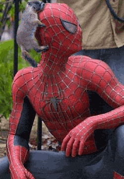 Spiderman