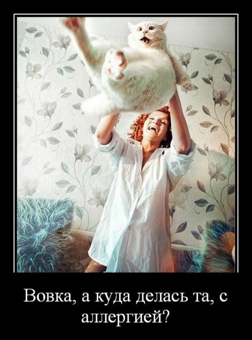 А куда делась бывшая? Кота в шоке