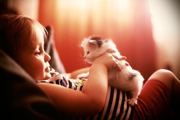 Девочка и котёнок