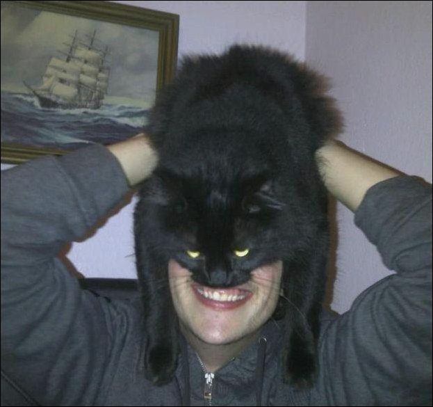 Шапка из кота