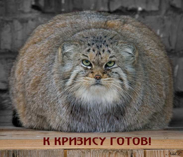 К кризису готов!