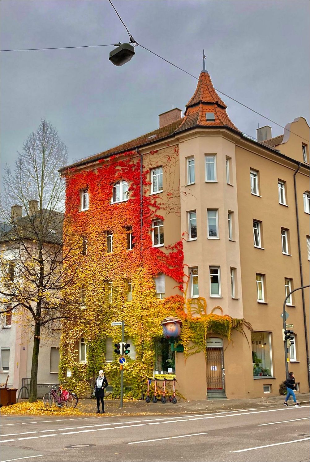 Дом в листьях
