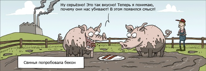Свинья попробовала бекон и поняла