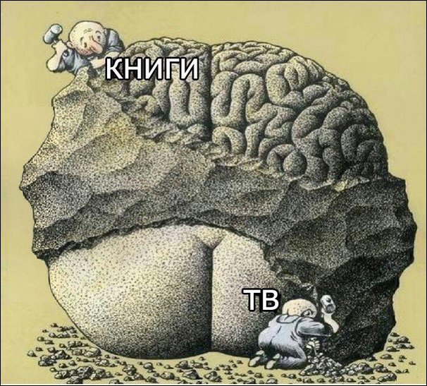 Каково влияние Книг и ТВ на мозги