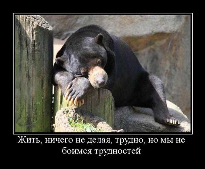 не боимся трудностей