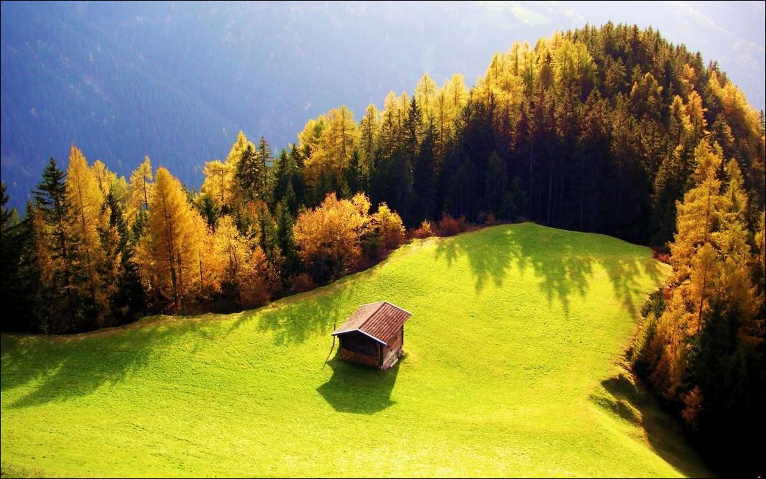 Красивый луг в горах