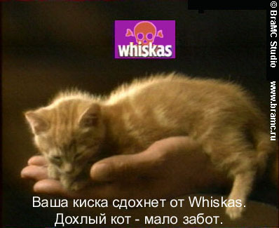 wiskas