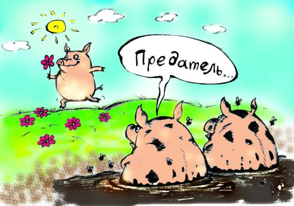 http://dlyavas.ru/images/fotogal/6/2004-02-20_171143_pigs.jpg