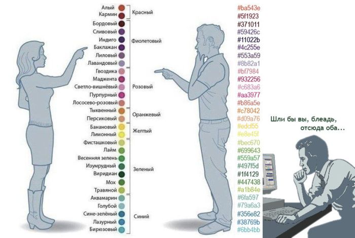 Цветовые гаммы женщин и мужчин и дизайнера
