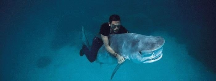 С акулой