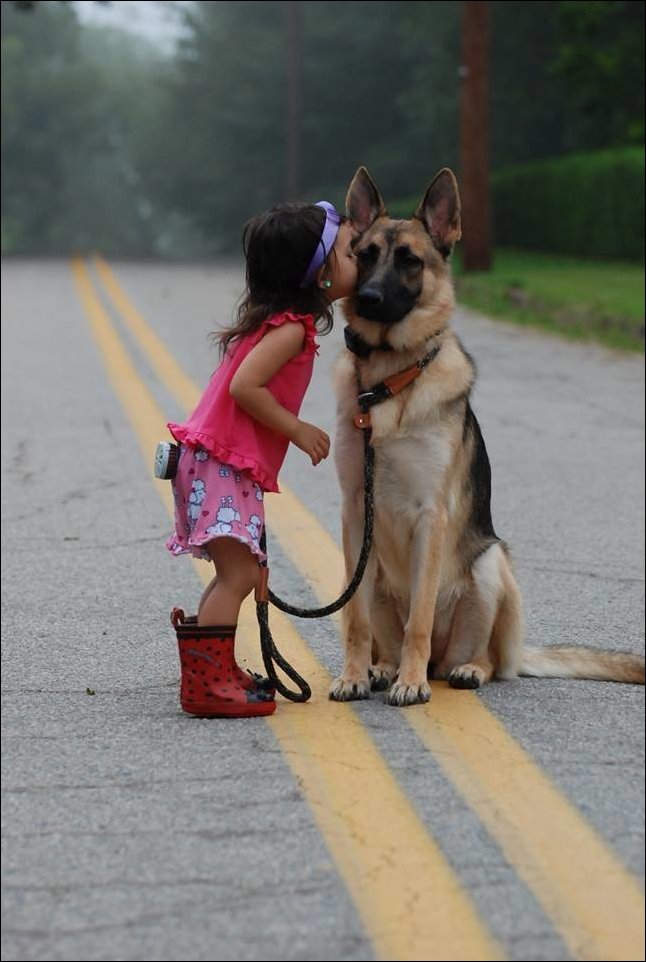 Девочка и пёс