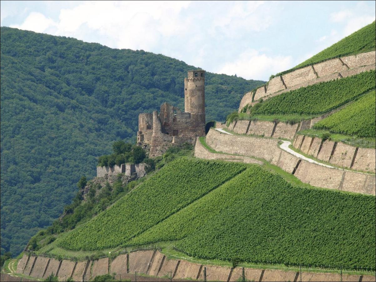 Древний замок на зелёнои крутом холме
