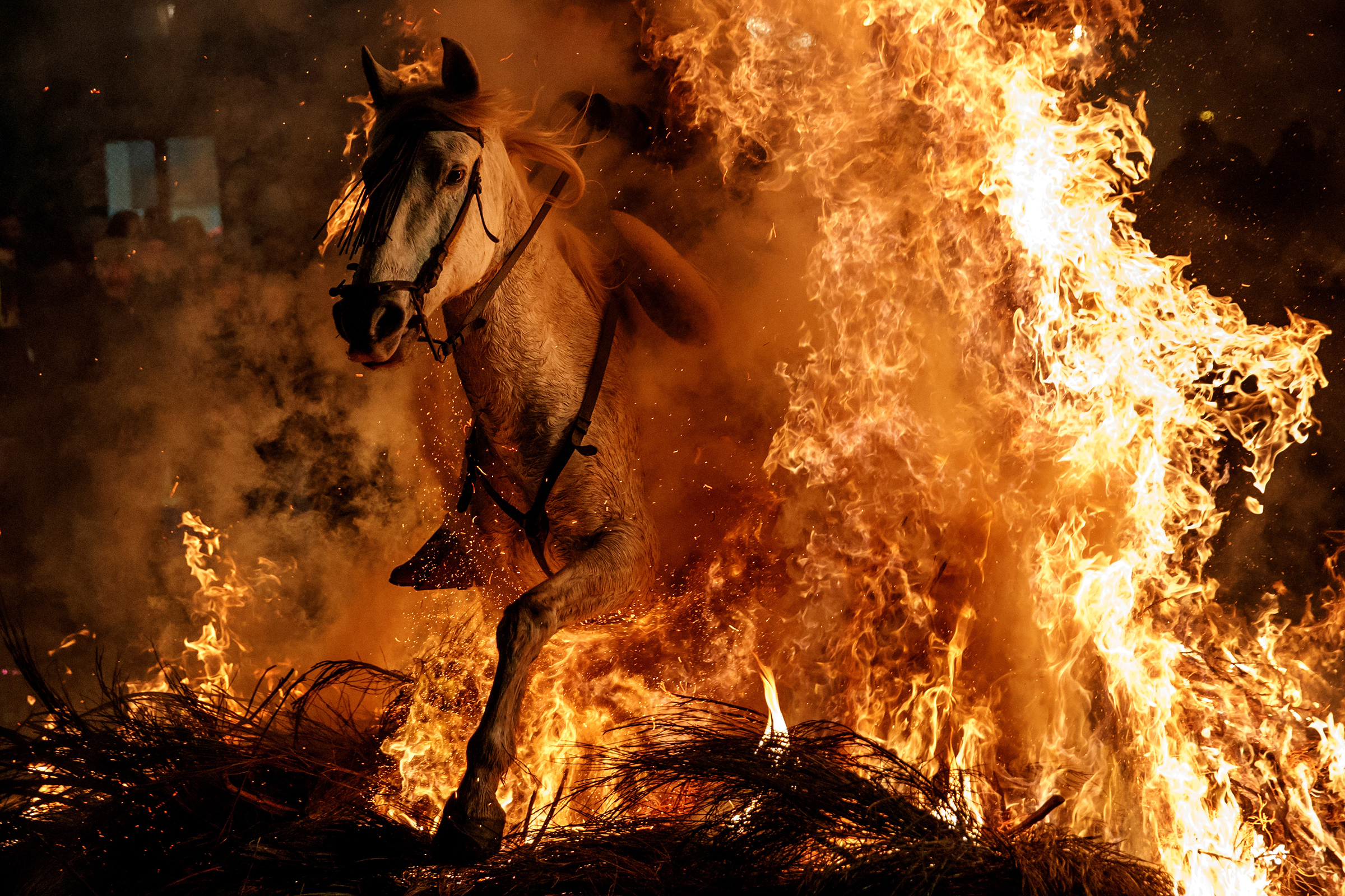 На лошади сквозь огонь на фестивале «Люминариас» в Испании (Juan Medina / Reuters)