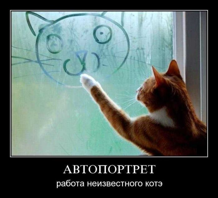 Автопортрет кота