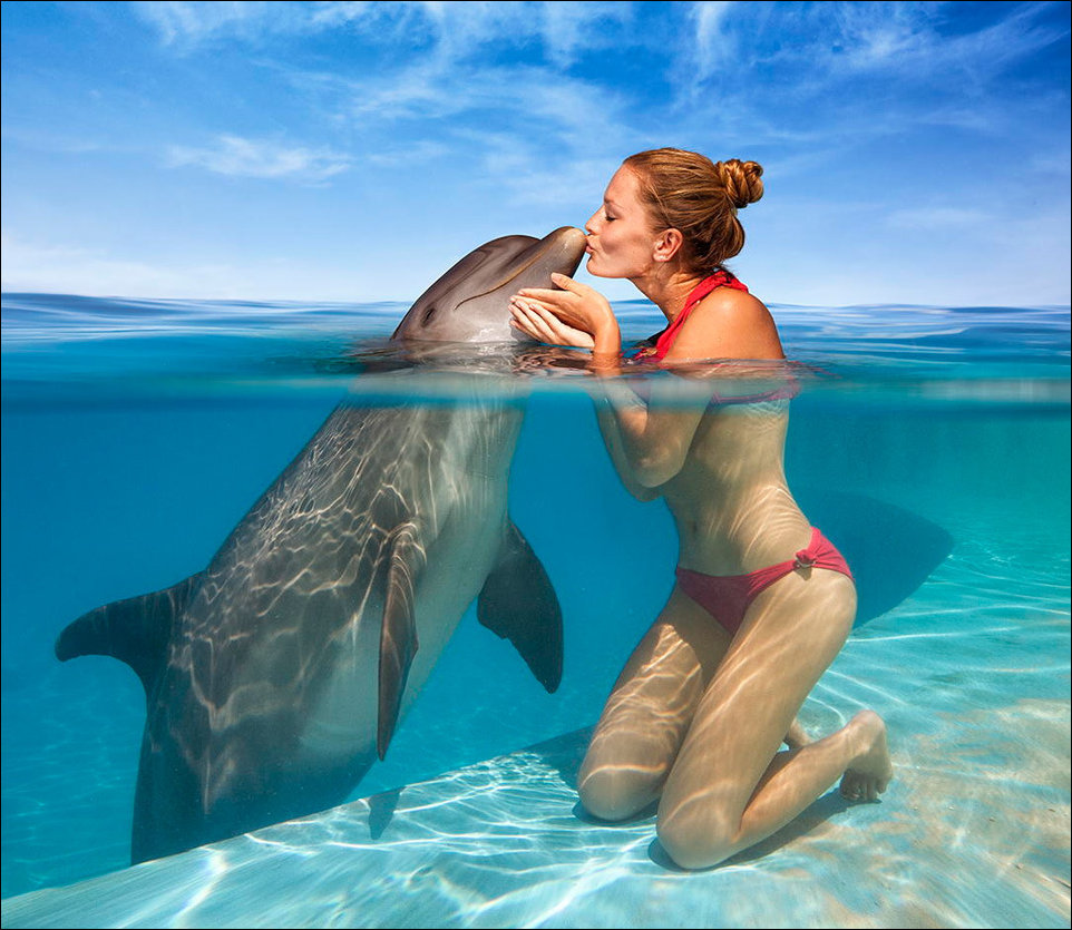 Дельфин и девушка целуются