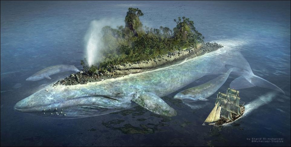 Остров на ките